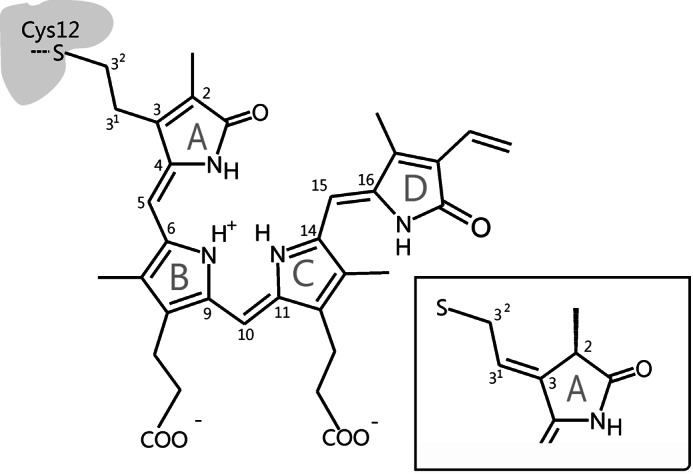 FIGURE 1.