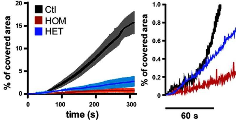 graphic file with name jem.2117insight1fig2.jpg