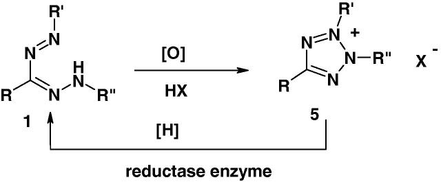 Scheme 2