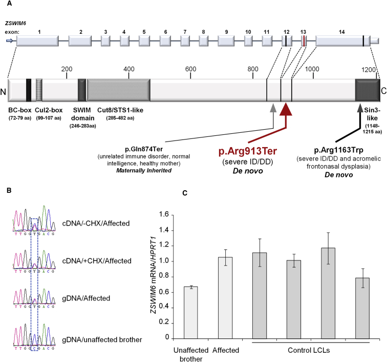 Figure 1