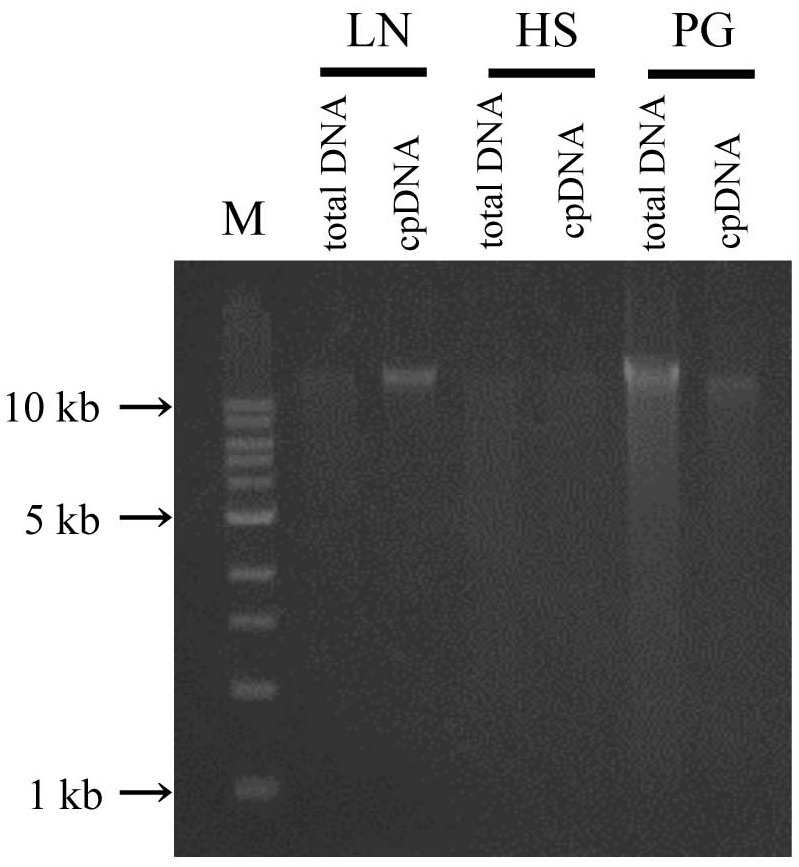 FIGURE 3