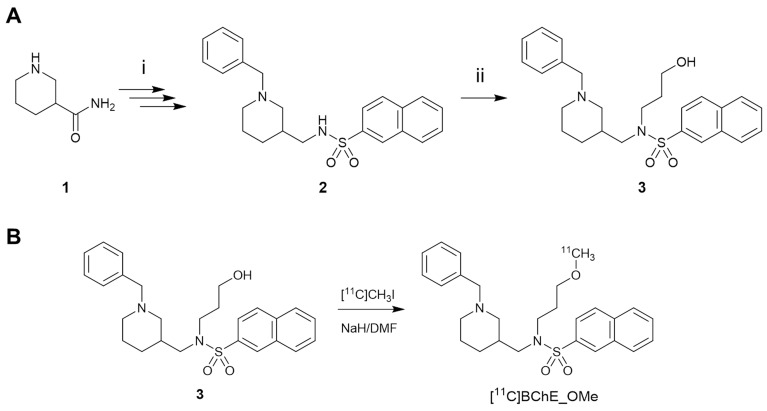 Scheme 1