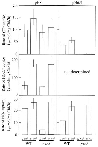 FIG. 5