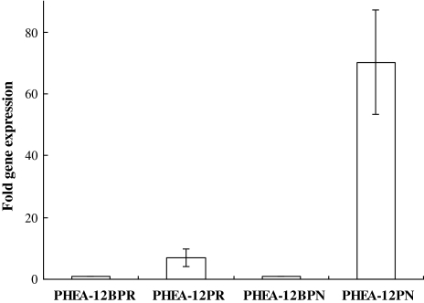 Fig. 4