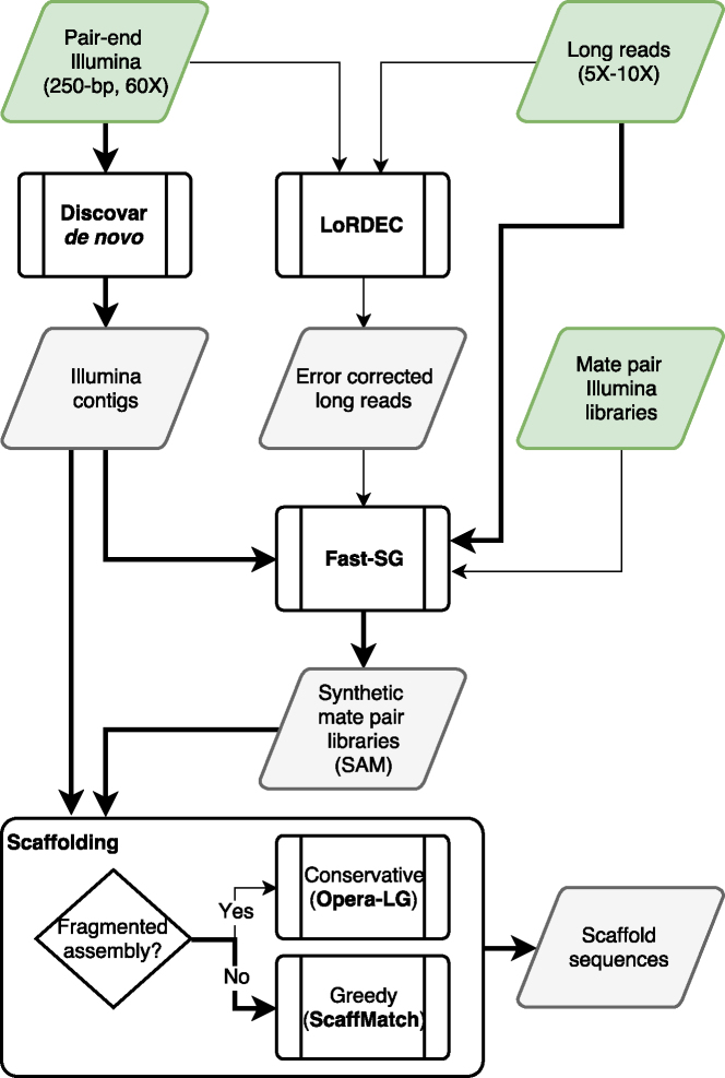 Figure 5: