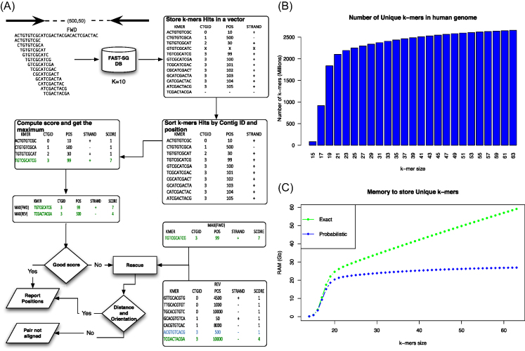 Figure 1: