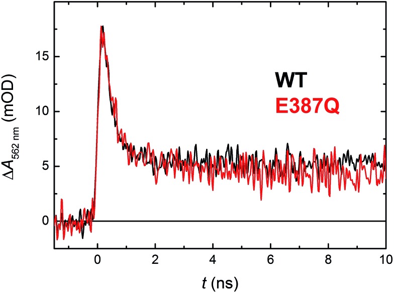 Fig. 11