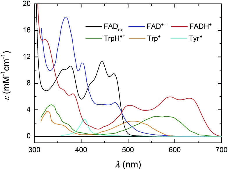 Fig. 2