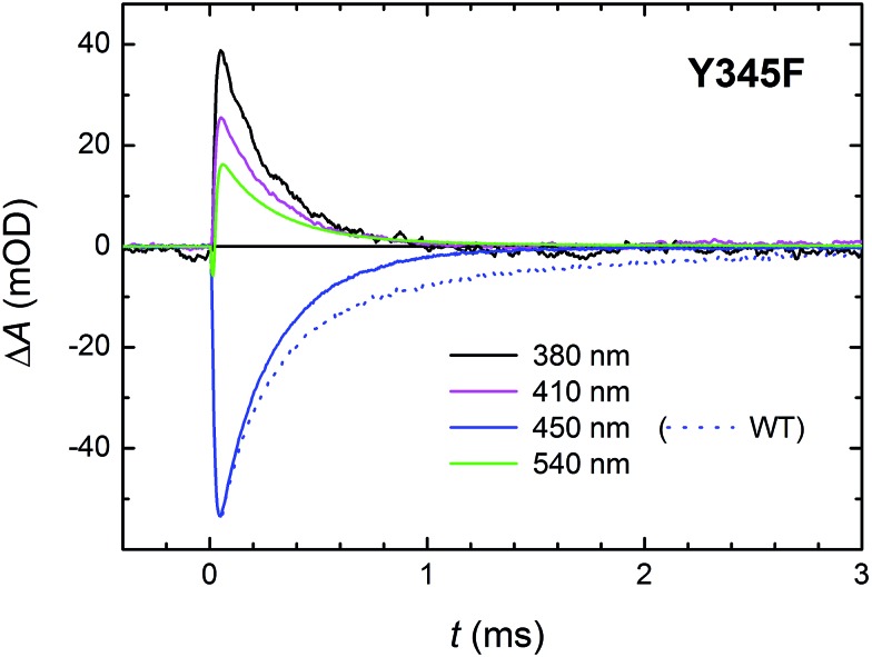 Fig. 13