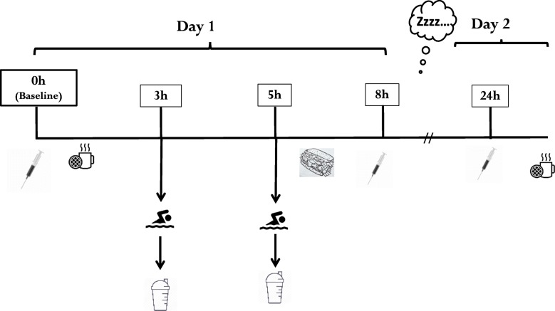 Fig. 1