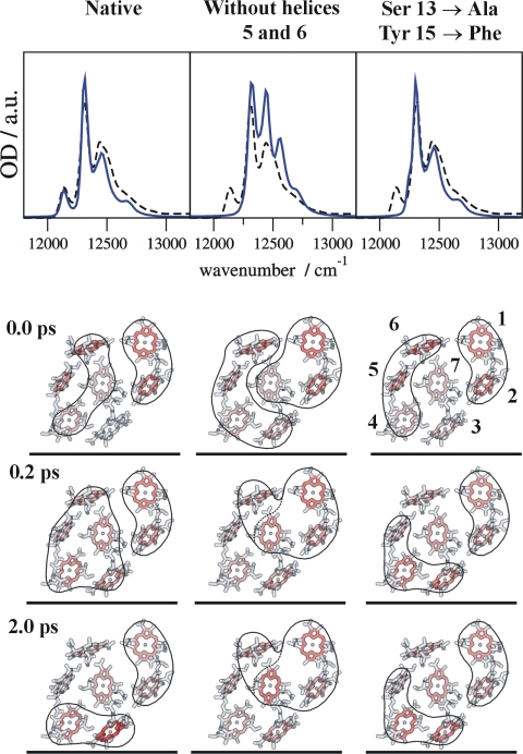 Fig. 4.