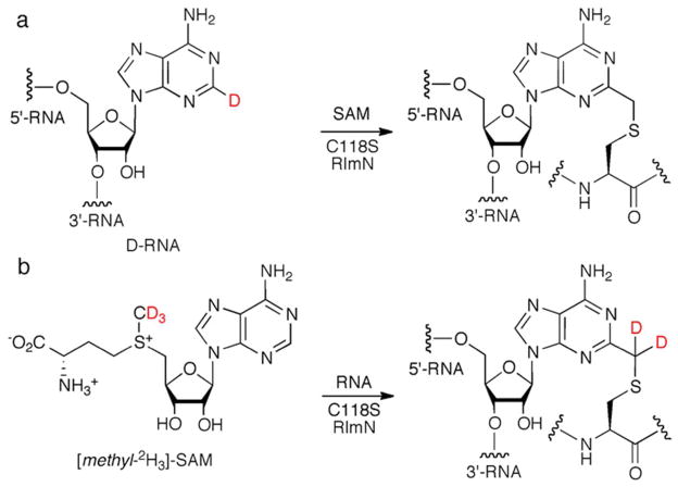 Scheme 2