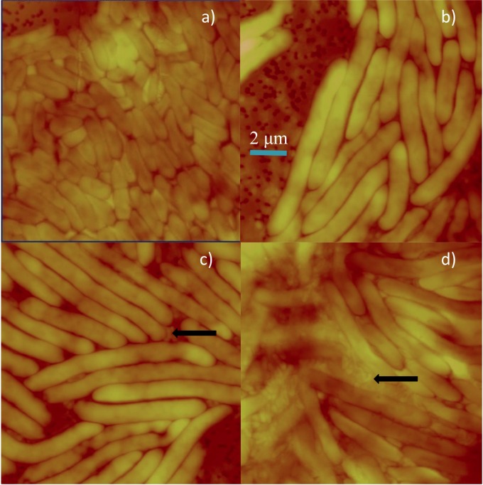 FIG 3