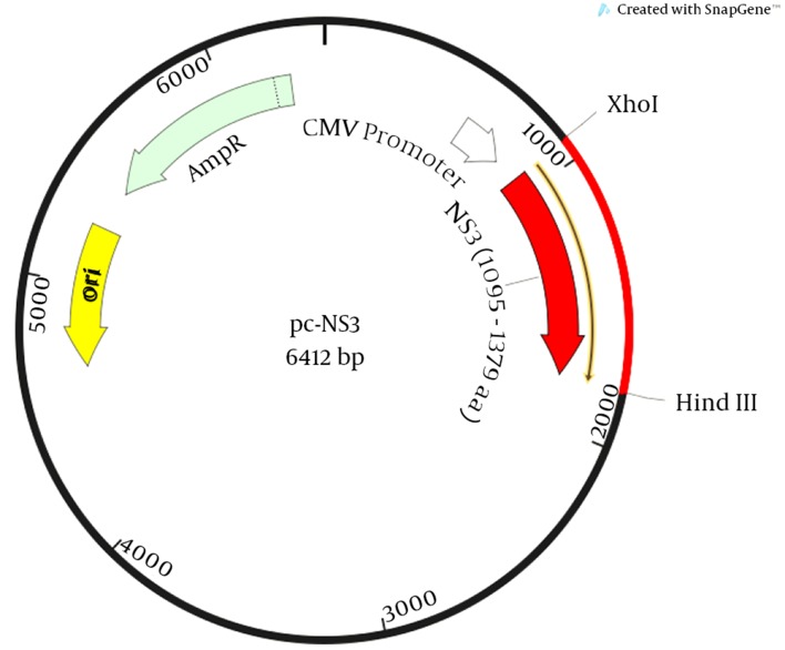 Figure 2.