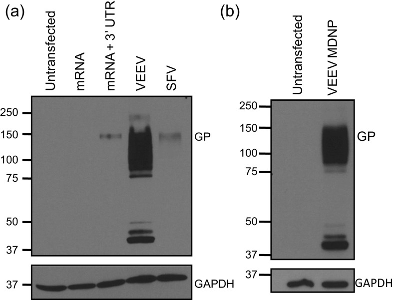 Fig. S4.