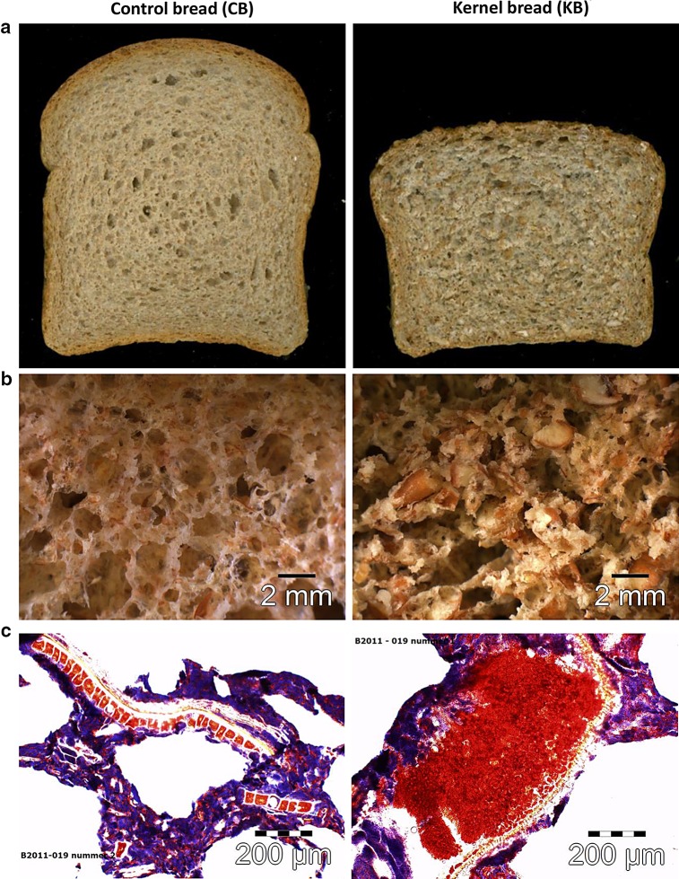 Fig. 2