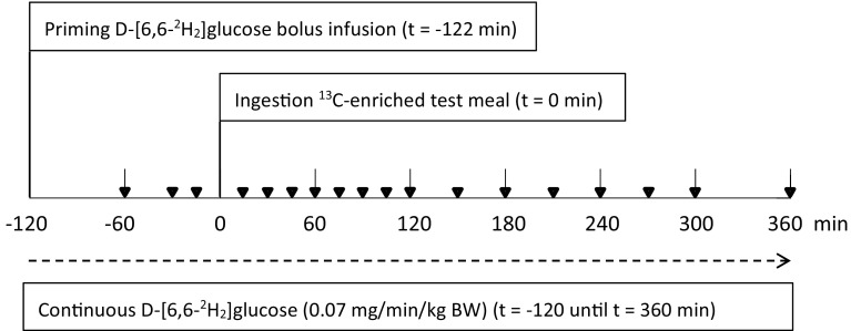 Fig. 1