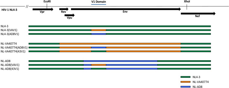 FIG 3