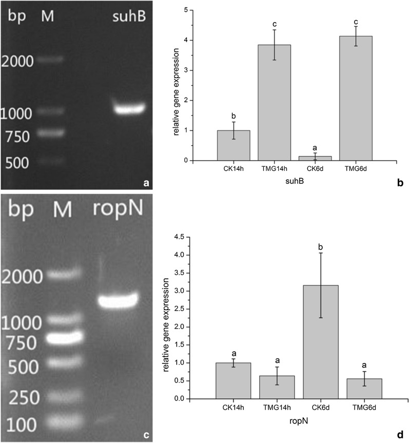 Fig. 7