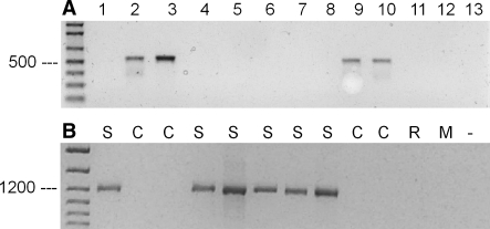 Fig. 5