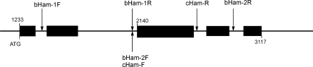 Fig. 1