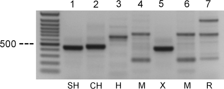 Fig. 7