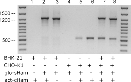 Fig. 6