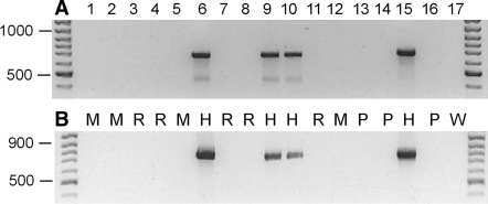 Fig. 4