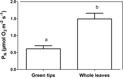 Fig. 5.