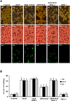 Fig. (4)