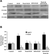 Fig. (8)