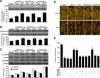 Fig. (6)