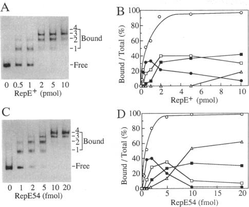 graphic file with name pnas01131-0373-a.jpg