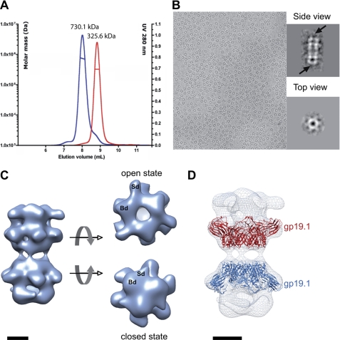 FIGURE 1.