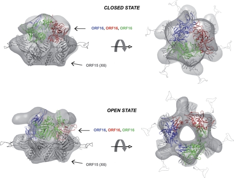 FIGURE 3.