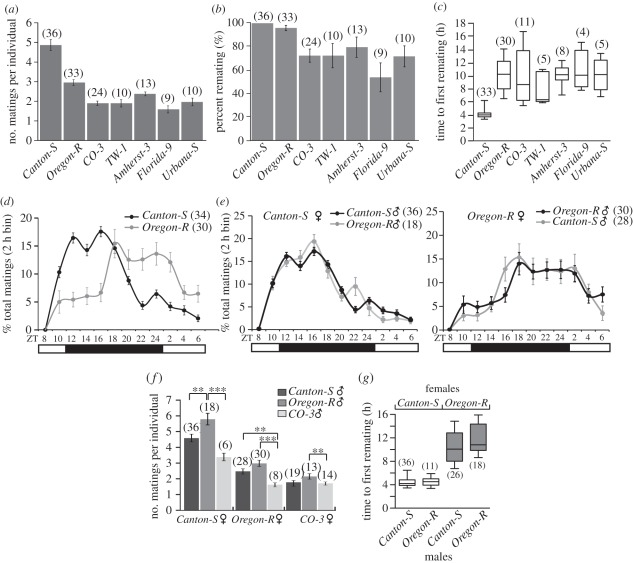 Figure 4.