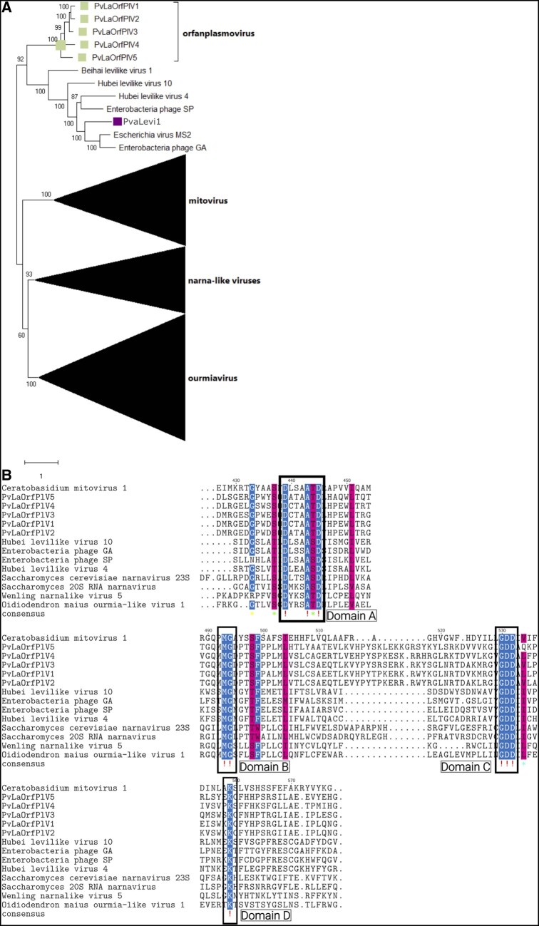 Figure 7.