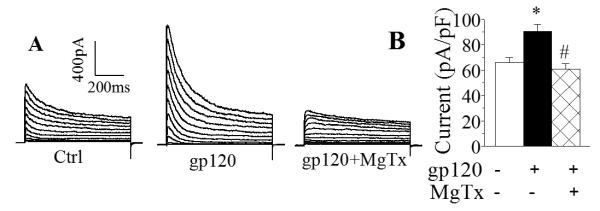 Fig. 8