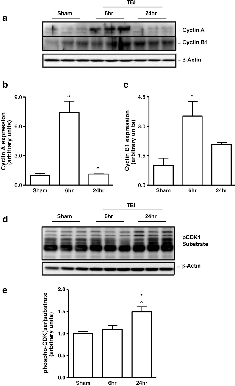 Fig.1