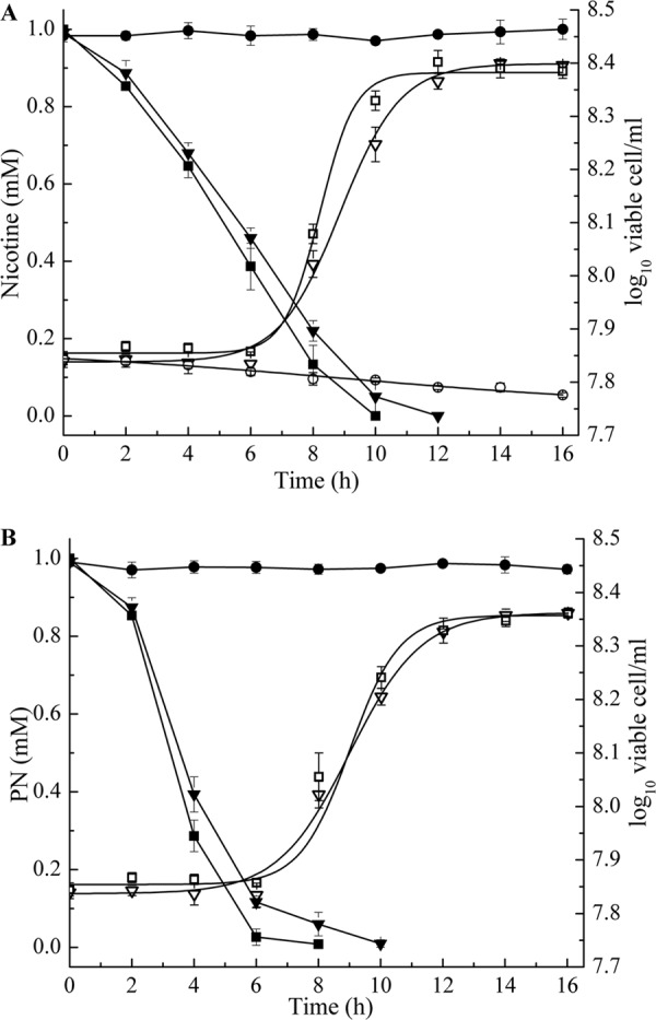 Fig 5