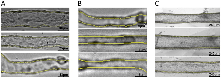 Figure 6