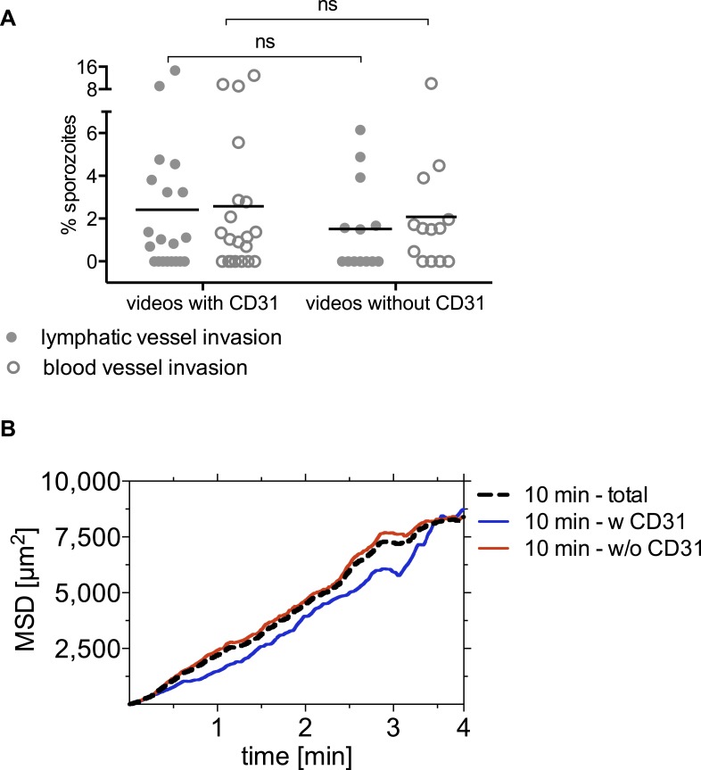 Figure 5—figure supplement 1.