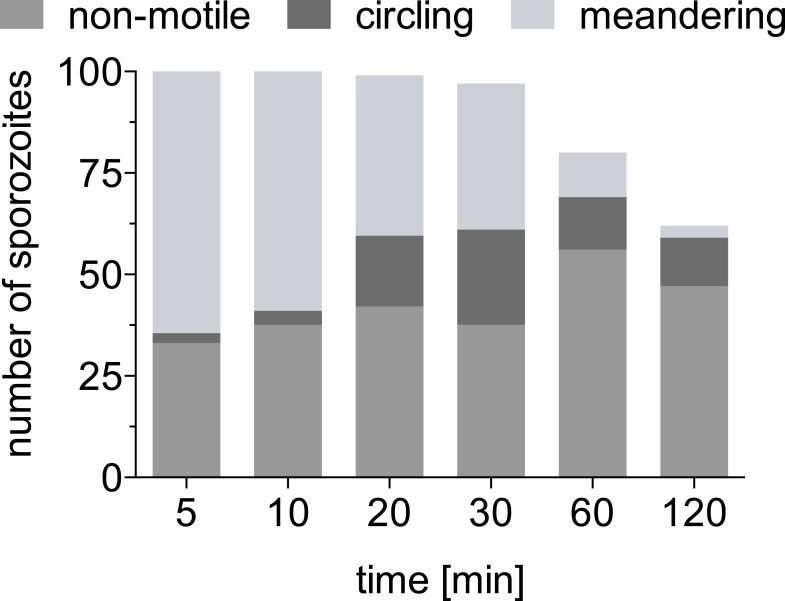 Figure 1—figure supplement 1.