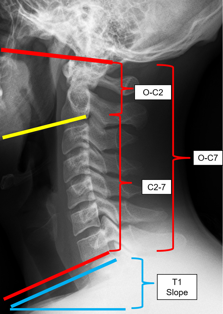 Figure 2.