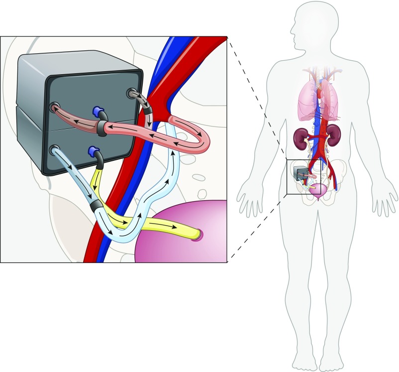 Figure 5.