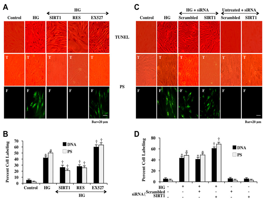 Fig. (4)