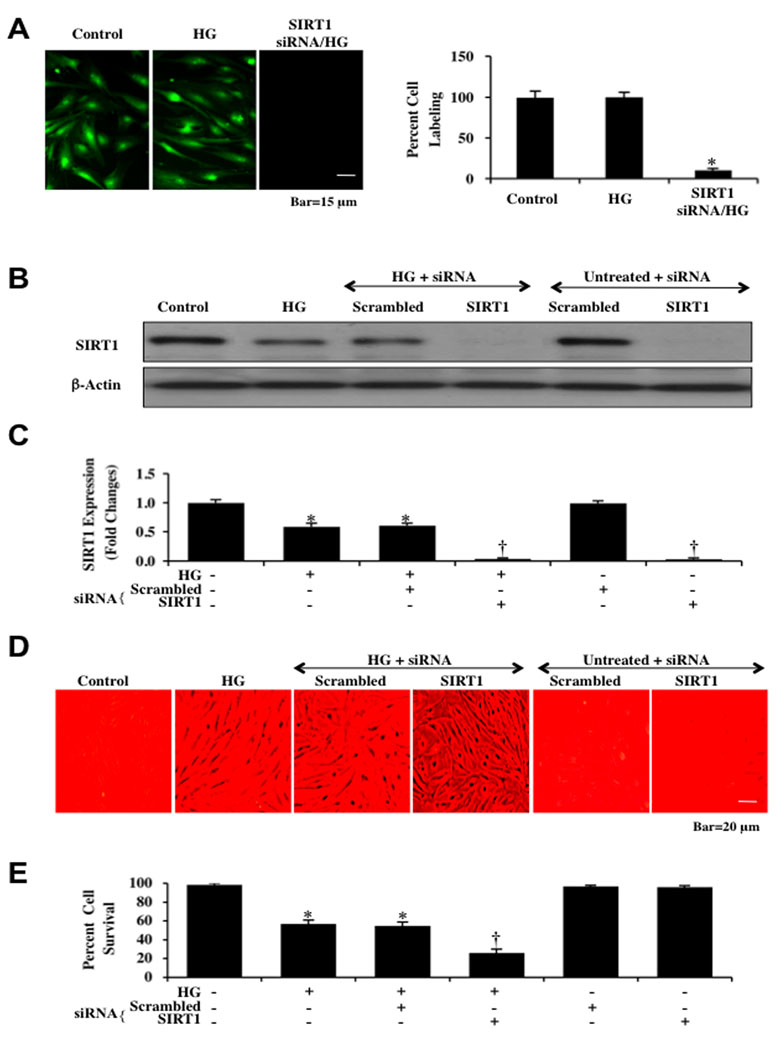 Fig. (3)