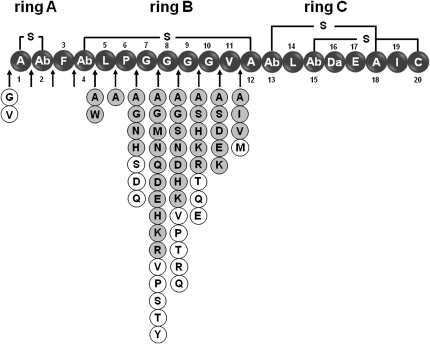 Figure 3