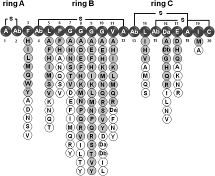 Figure 2