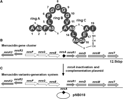 Figure 1